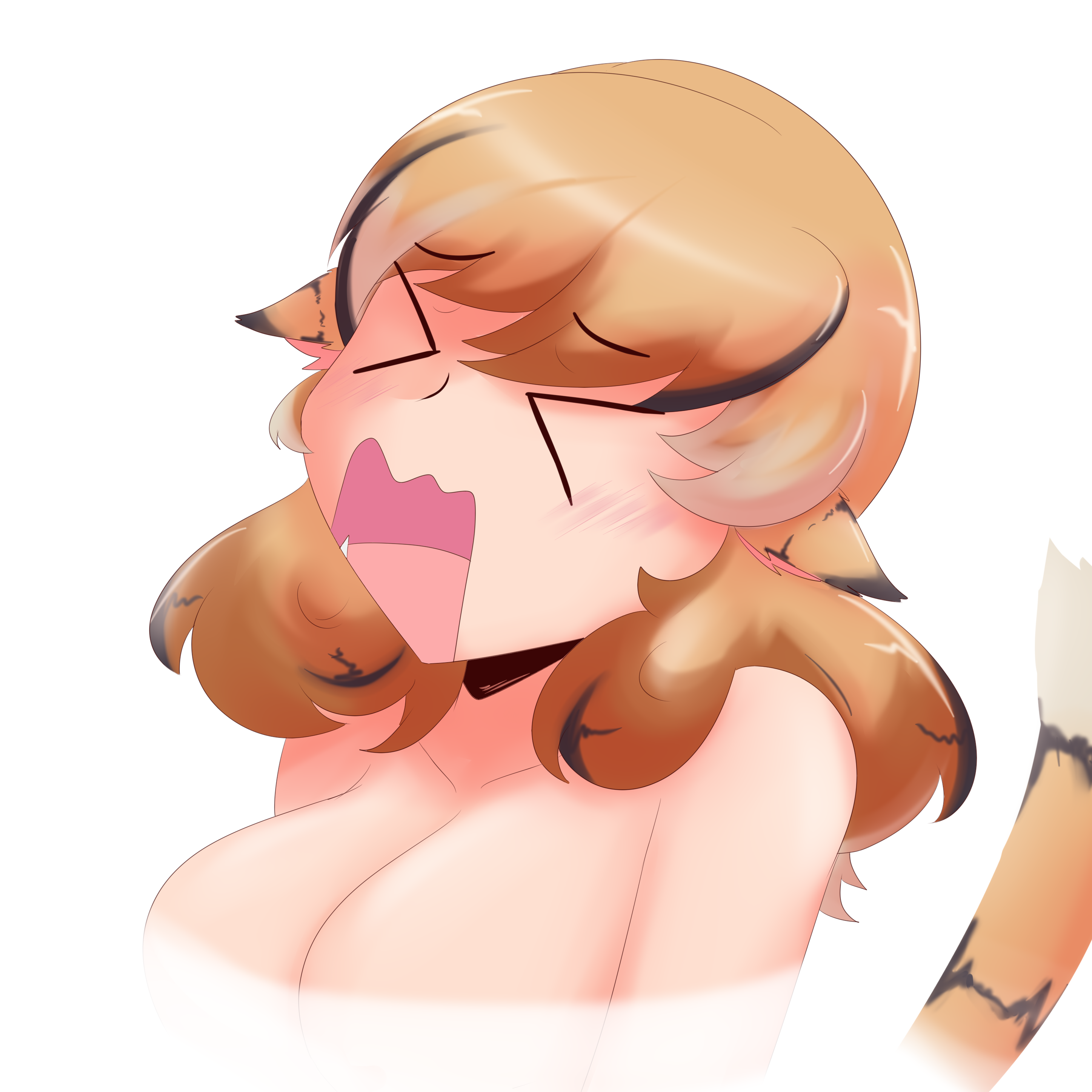 Korui Hoshiko Expression 7.00 Bryan Spotty.png